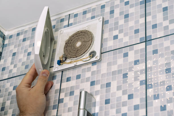 Best Air Duct Mold Removal  in Woodfin, NC