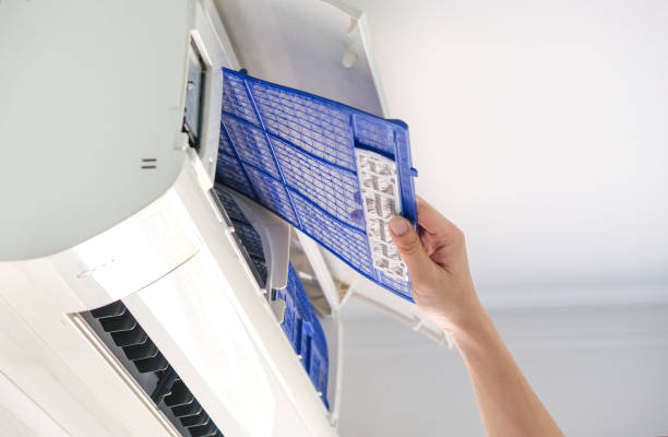 Best Air Duct Sanitizing Services  in Woodfin, NC